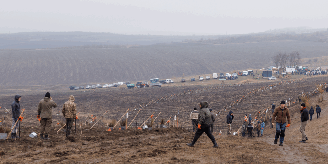 110 mii de puieți – plantați pe 27 de hectare în cadrul campaniei „Toamna 2025”