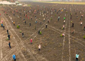 Un parc de suflet pentru comunitatea din Negureni! Emilian Crețu: Vă mulțumesc din suflet tuturor…