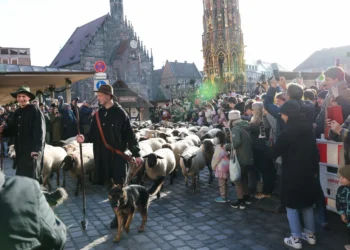 Sute de oi au traversat centrul Nürnbergului într-un eveniment anual inedit