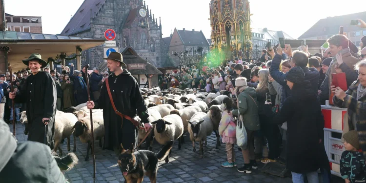 Sute de oi au traversat centrul Nürnbergului într-un eveniment anual inedit