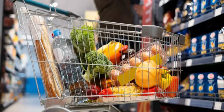 În timp ce milioane nu se pot hrăni, Republica Moldova aruncă anual 180.000 de tone de alimente