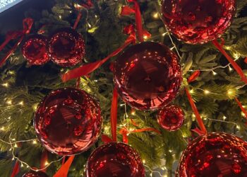 Monede, stele și îngerași: elemente de succes pentru bradul de Crăciun