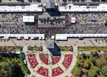 Record Guinness la Chișinău: 493 de oameni au recreat o viță-de-vie